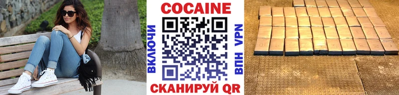 КОКАИН Fish Scale  Купить где  Анива 