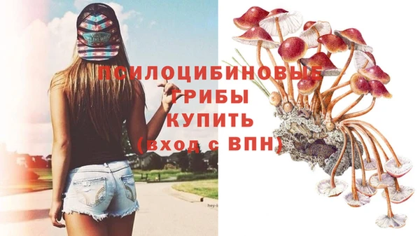 марки nbome Арсеньев