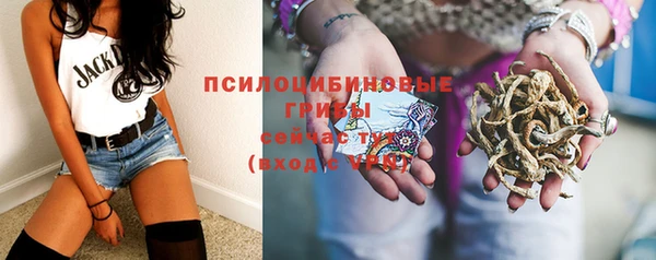 PSILOCYBIN Армянск
