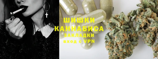 PSILOCYBIN Армянск
